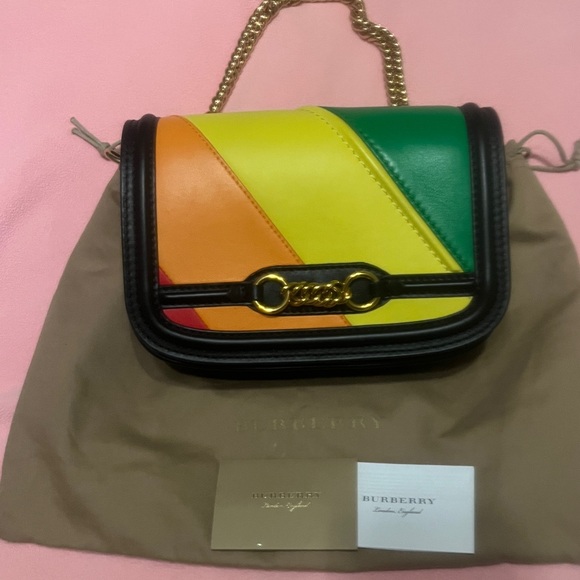 Burberry Handbags - Burberry Runway Rainbow Stripe Crosslink Chain Bag Made in Italy w/Card Dust Bag